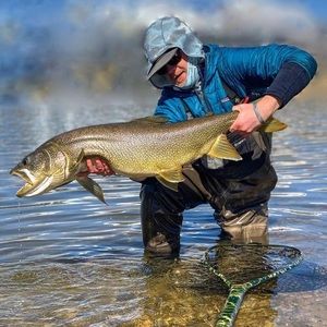 Meet your Posher, Tyler